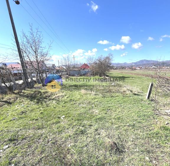 TEREN intravilan  comuna SAVINESTI - 8