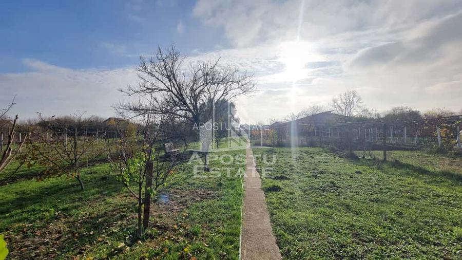 Casa spatioasa, teren generos, Giarmata - 21