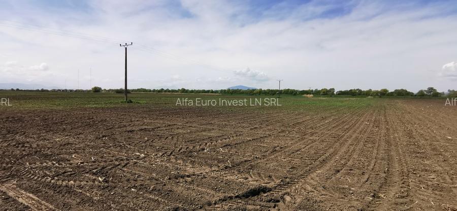 TEREN AGRICOL DE VANZARE - BOD - BRASOV 4,5 HA - 3