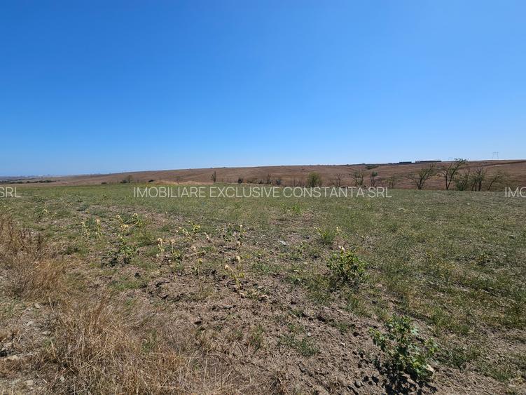 Teren Extravilan 10000 Mp Sibioara Constanta - 4