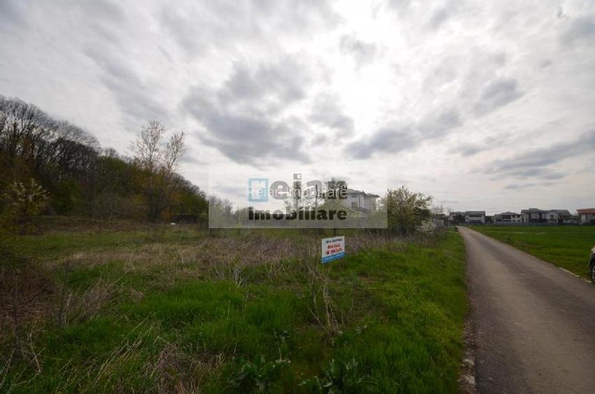 Snagov Crizantemelor Teren 3200mp, d 72ml, gaz, curent, asfalt, padure - 10