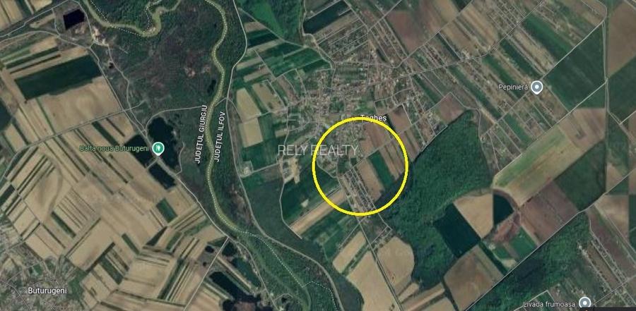 Vanzare teren Domnesti / Teghes / 3.126 mp / casa demolabila / comision 0% - 3