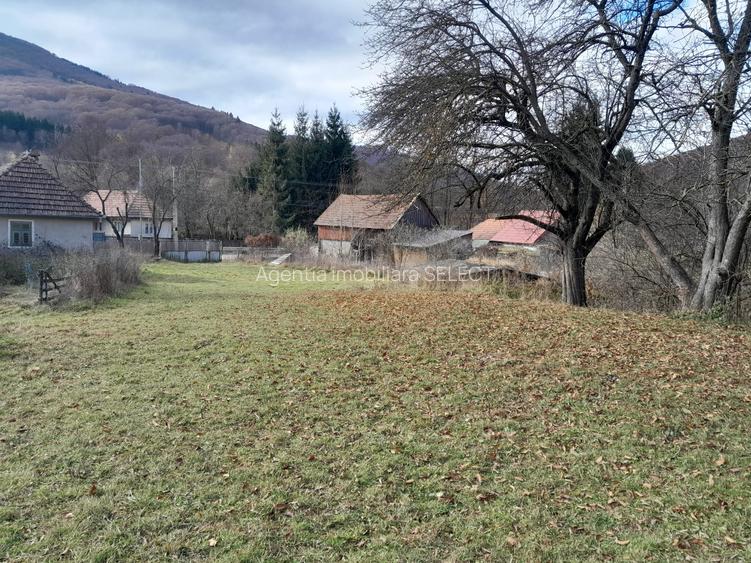 Teren Intravilan Ideal Pt Casa de Vacanta ,Valea Dobarlaului - 2