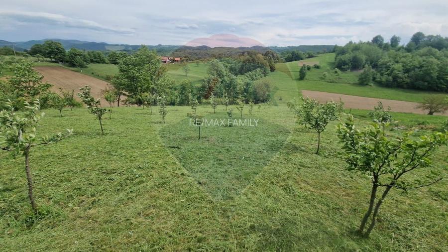 Teren 5,862mp Bratca / Drumul principala - 3