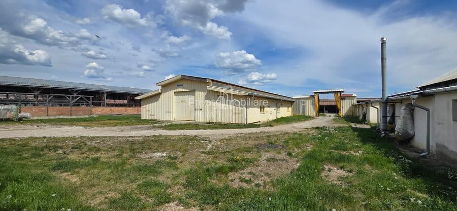 Teren + hale industriale 8785mp + casă–Oportunitate investiție / producție – - 26
