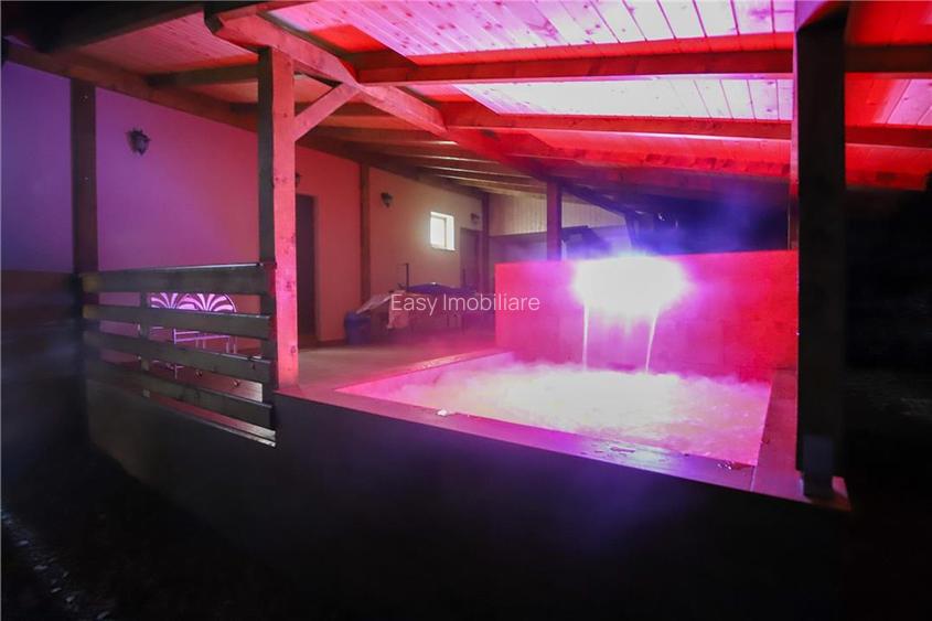 Cabana Ibanesti, locatie superba, Jacuzzi, 6 camere, - 4