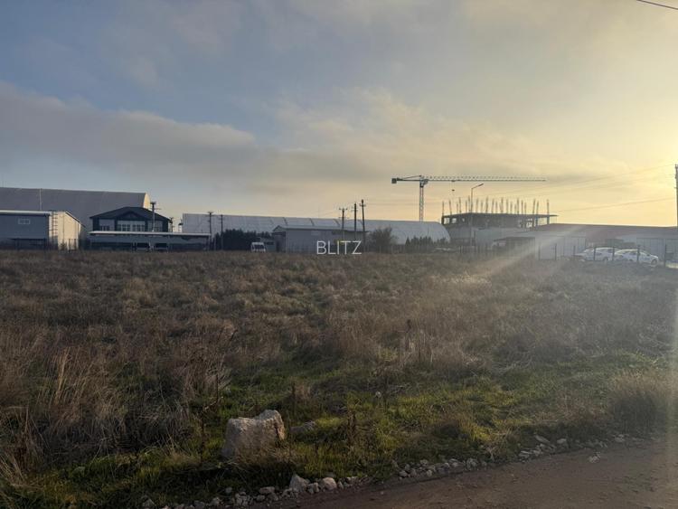 Teren intravilan , 3000 mp , deschidere 78 m, zona Carcea - 2