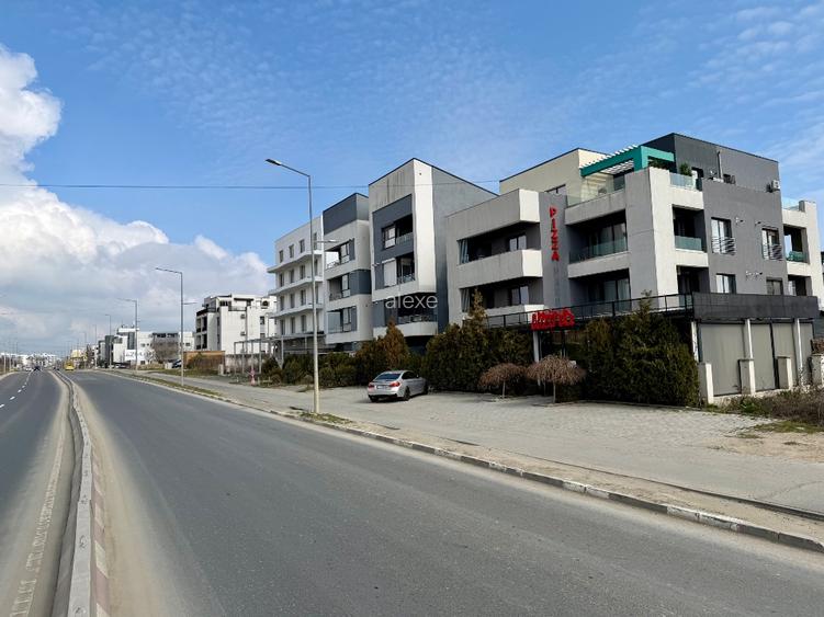 Teren mamaia navodari langa noul kaufland - 3