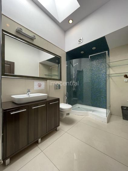 Inchiriere spatiu in cladire birouri pe Rubin Patitia - 7