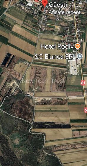 Stefanesti Teren Industrial -  Teren Mixt  Scompacta Dascalu - Gaesti - 10