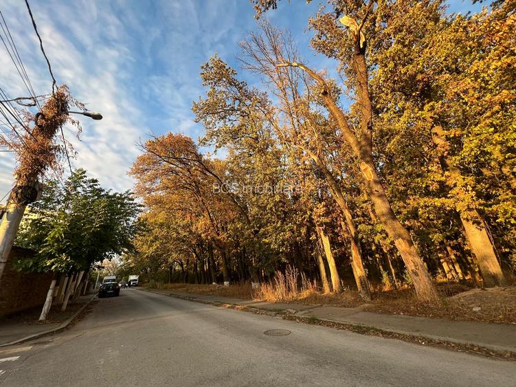 Teren intravilan - vanzare - Colentina - Padurea Andronache - 4