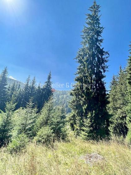 Teren Intravilan Predeal - Acces direct DN - Priveliste deosebita - 34