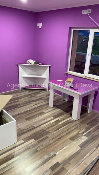 Vand pensiune in Dealu Mare (Comuna Valisoara), judetul Hunedoara, - 9