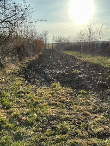 Casa  Batraneasca 100 MP + teren intravilan 400 MP , 4500 MP extravilan - 8