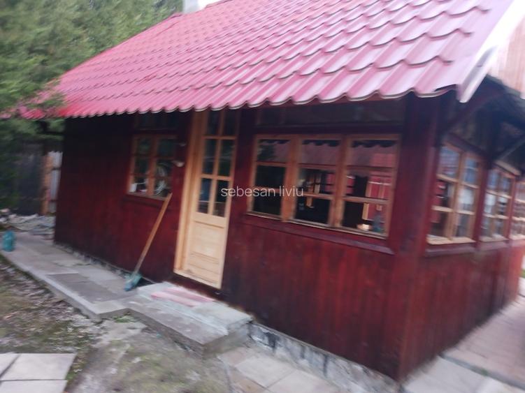 CASA DE VACANTA LA DOMENIUL SCHIABIL SUREANU LUNCILE PRIGOANEI - 4