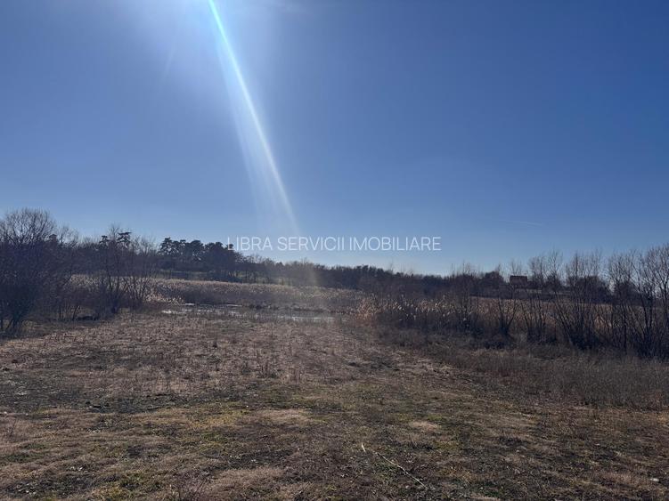 Periș, sat Brătulești, teren intravilan cu deschidere la lac - 3