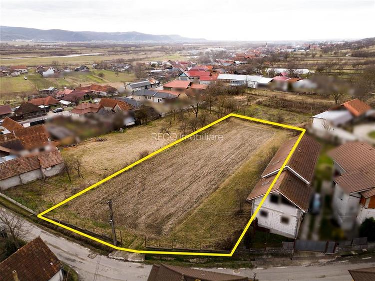RECO ,teren intravilan in Tinaud,Bihor - 4