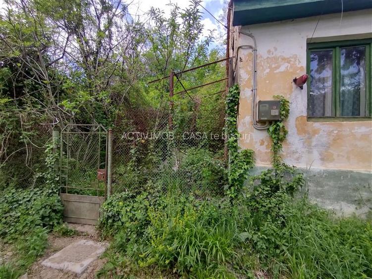 Sasca Montana | Oportunitate | Casa cu 230 MP Teren - 3
