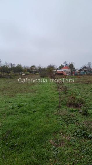 Teren intravilan Petresti -Dambovita - 2