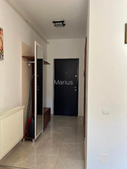 Inchiriere Studio 45mp Ioan Socec , Coresi - 10