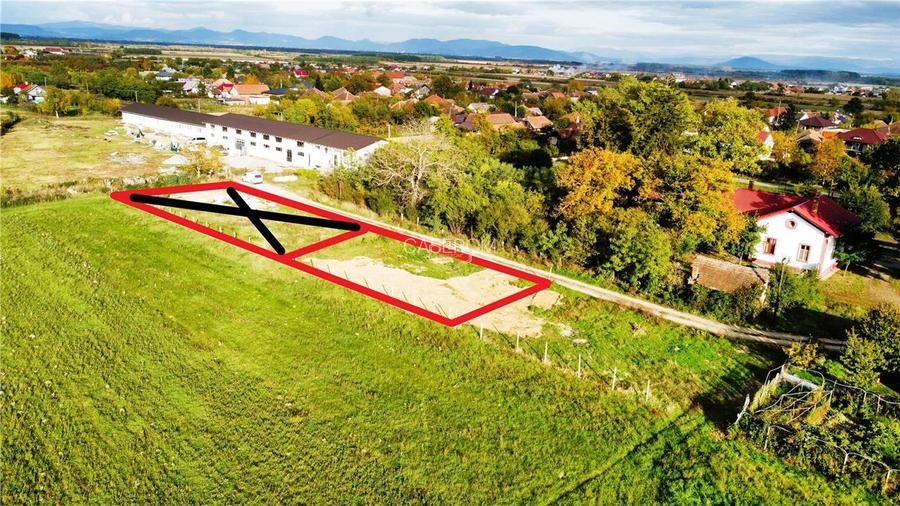 VIDEO | Teren intravilan - 657 mp | Micula, Satu Mare - 3