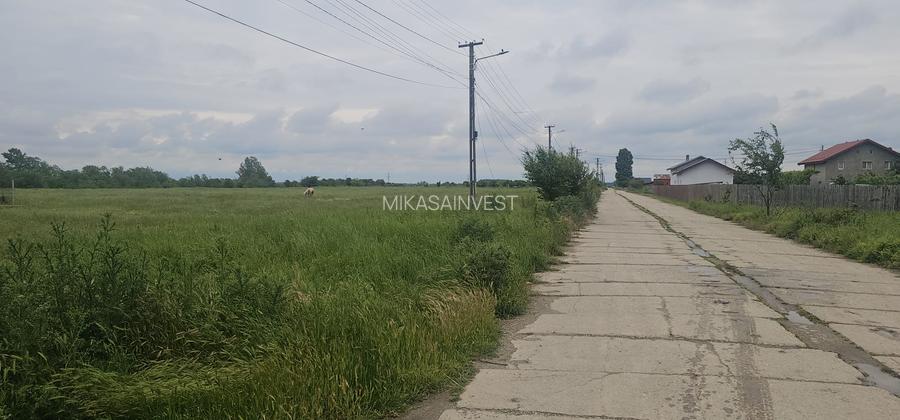 Teren intravilan Colacu, Dâmbovița –  | Utilități | Drum asfaltat Comision 0 - 2