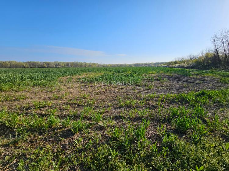 10.100mp TEREN CONSTRUCȚII INTRAVILAN POTIGRAFU, DESCHIDERE 31m direct la DN1 - 4