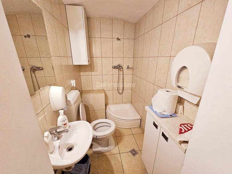 Apartament cu 3 camere in locatie centrala ( rezidenta/ spatiu birouri ) - 6