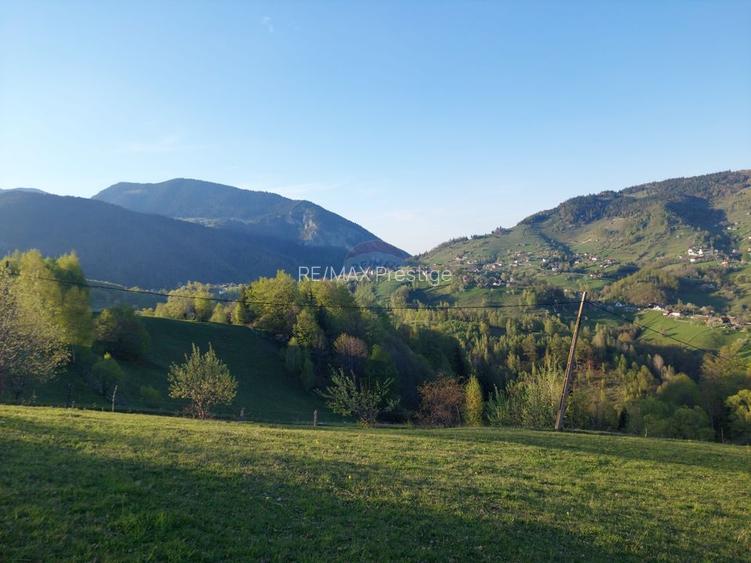 Teren intravilan panoramic în Peștera, Moieciu - 11048 mp - 5