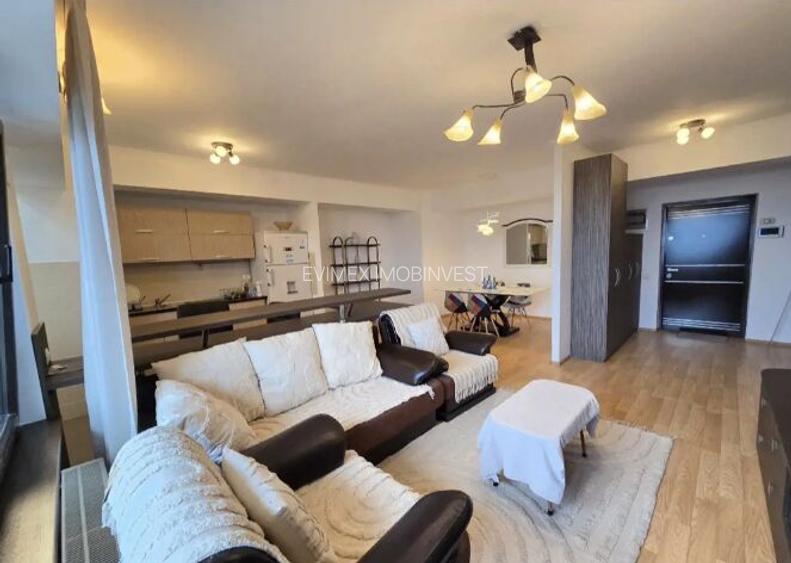 Baba Novac - Dristor 2 Camere LUX Vedere Parc IOR - 4