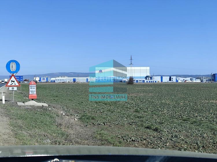 Teren 50.000 Mp, Brasov-Halciu - 2