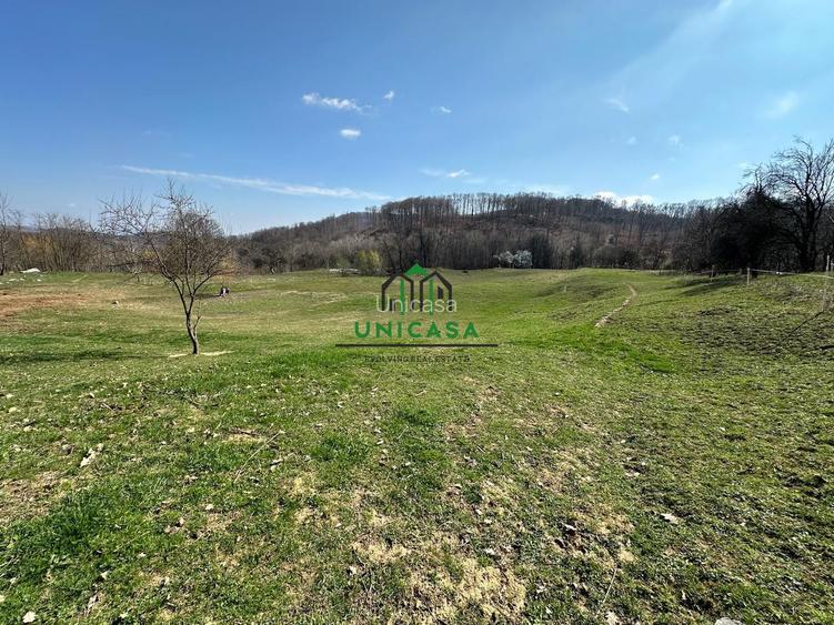 Teren Govora / 8131mp - 4