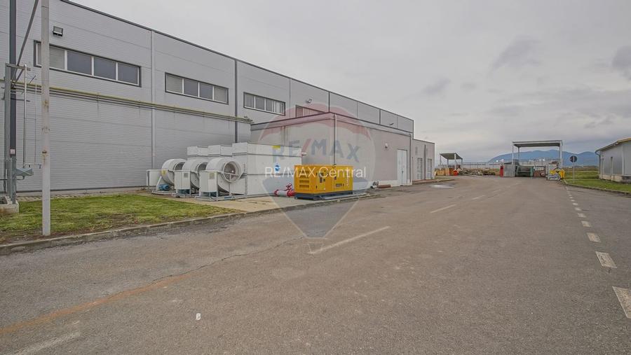 Hală industrială 5.000–12.000 mp de închiriat, Ghimbav - 6