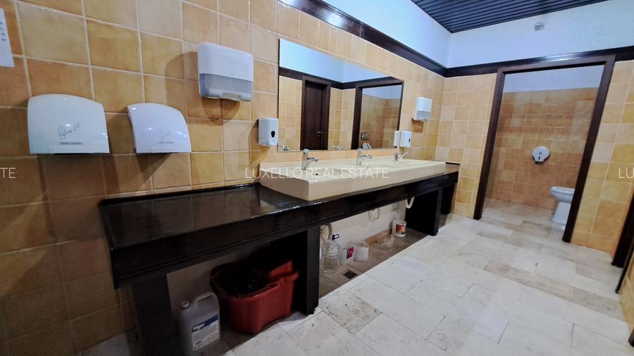 SPATIU BIROU- CLADIRE BIROURI PREMIUM - 22