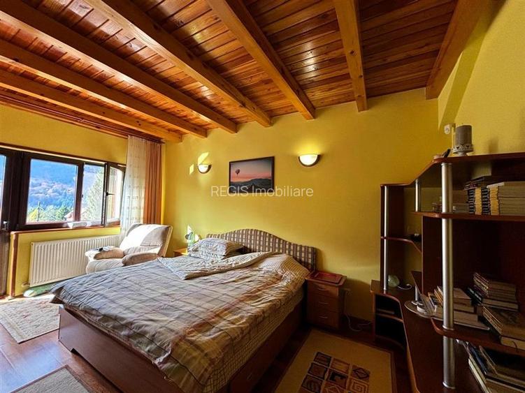 Vila Exclusivista Piatra Arsa Busteni - 7