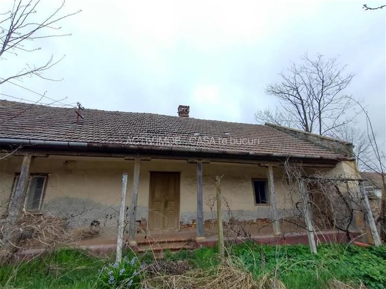 Iecea Mare - Timis, Casa cu Gradina, 1800mp Teren, Pret Negociabil - 13