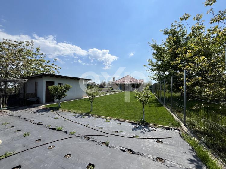 De vanzare casa parter teren generos in apropiere de padure Gradistea - 2