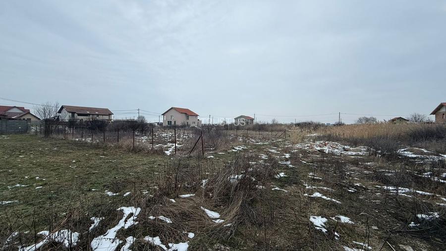 COMISION 0% | Teren de Vanzare in Sacalaz | Front 20m | 605mp - 4