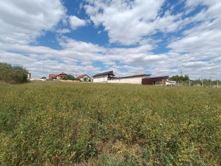 Descoperă o oportunitate rară: Teren intravilan- 2.000 mp în Zădăreni - 14