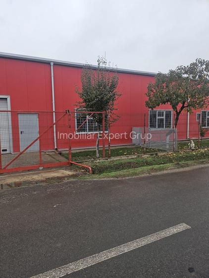 Hala 437 mp Domnesti - Pasaj - 3