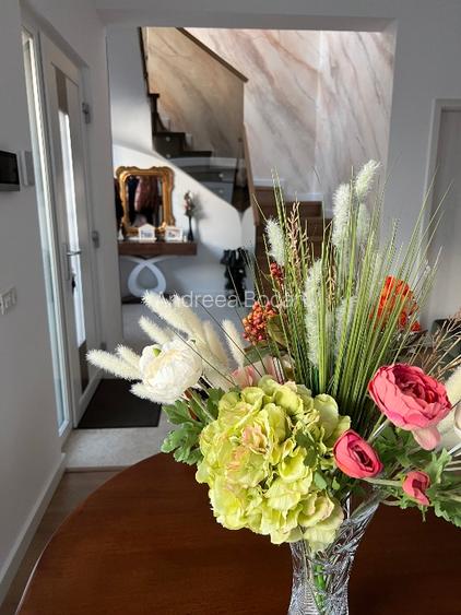 Casa individuala - proprietar - Lebada Lake - 9