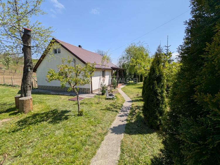 Casă de vânzare în Comuna Moșna Județul Iași  - 10