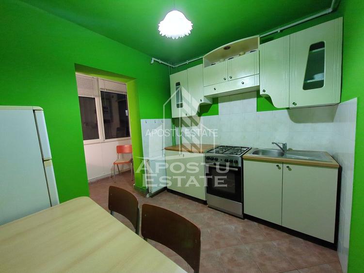 Apartament 2 camere, aer conditionat, zona Mehala - 6
