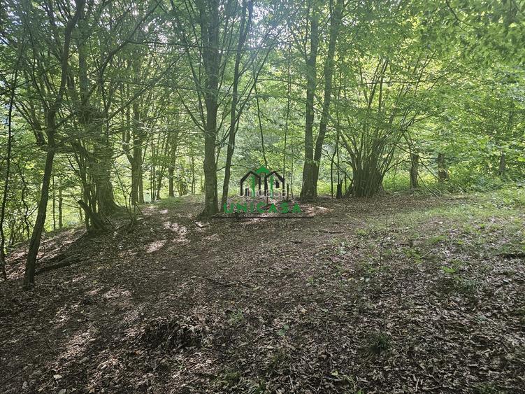 Teren extravilan  cu potential turistic - Brezoi - 5