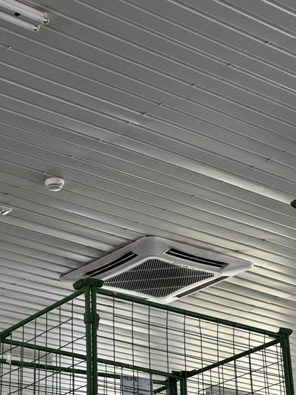 Spatiu Comercial 1000 m2 ,Str Zizinului