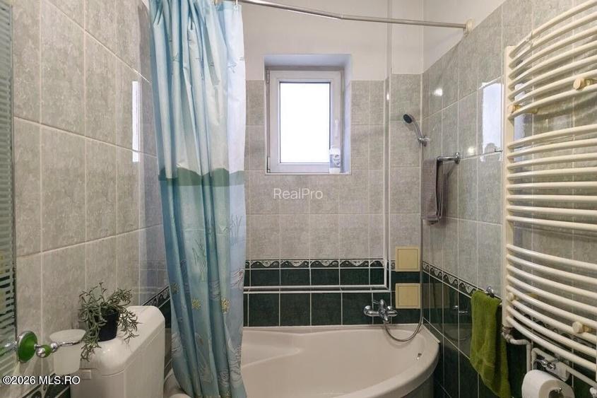 Lunei - Ion Neculce, 2 Apartamente. Mansarda 157 mp. Anexe, Lot 475 mp - 31