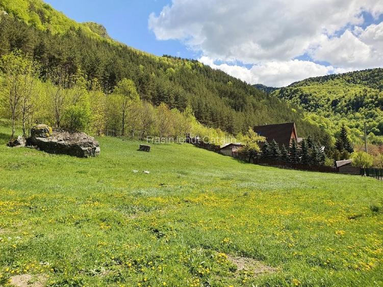 Teren de vânzare în Lepșa – ideal pentru pensiune sau casă de vacanță - 6