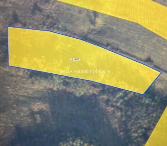 Teren intravilan | 6,259 mp | Colonia Bundus - 2