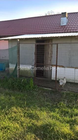 BUTIMANU - DN1A, CASA + TEREN 5000MP, DESCHIDERE 28 MP, - 7