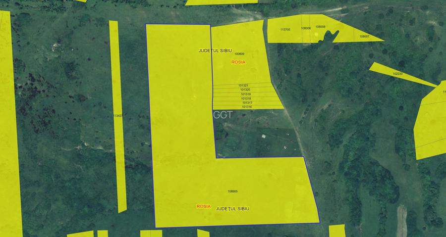 Teren agricol extravilan de vânzare – 67.500 mp – Dealul Daii, Sibiu - 2